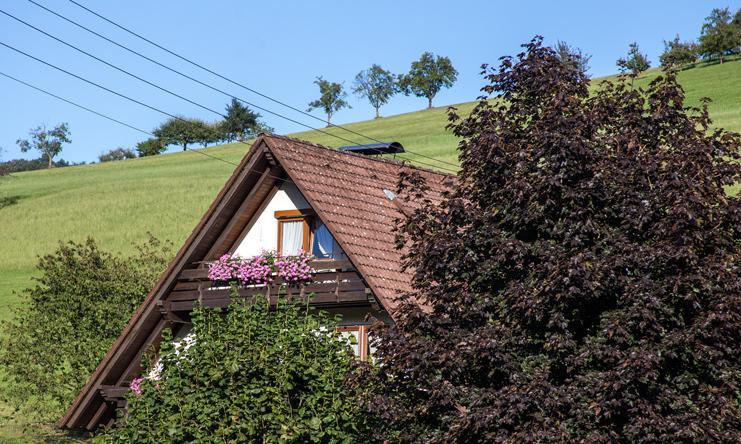 Kornbauernhof Apartamento Oberharmersbach Exterior foto